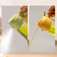 Flacon d'huile en verre à double fonction, spray et verseur