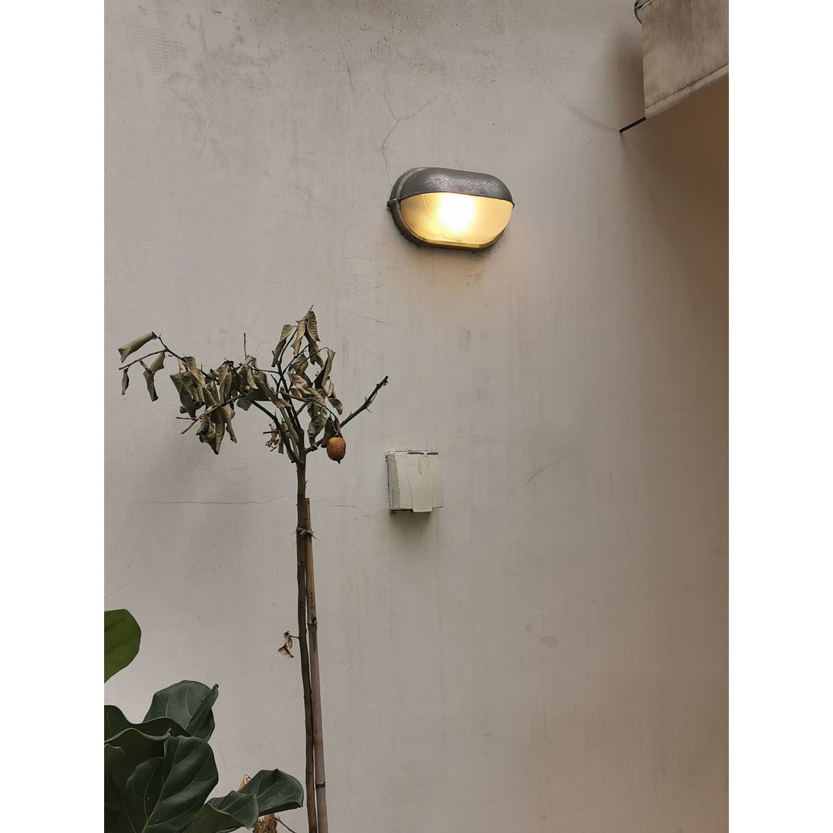 Applique extérieure ovale à diffuseur en verre rainuré