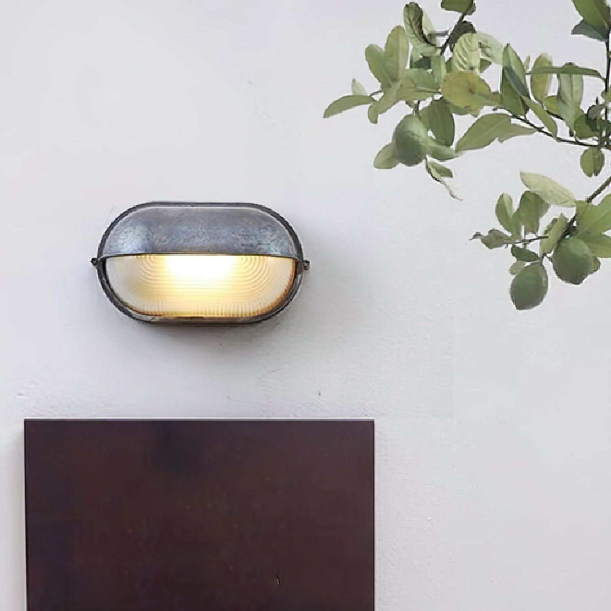 Applique extérieure ovale à diffuseur en verre rainuré