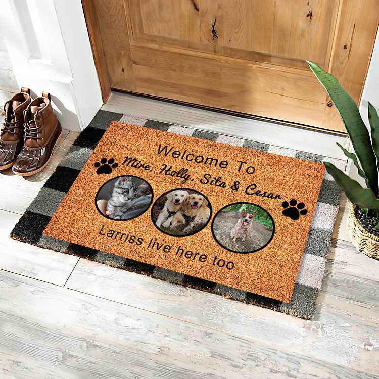 Tapis d'entrée lavable à illustrations d'animaux