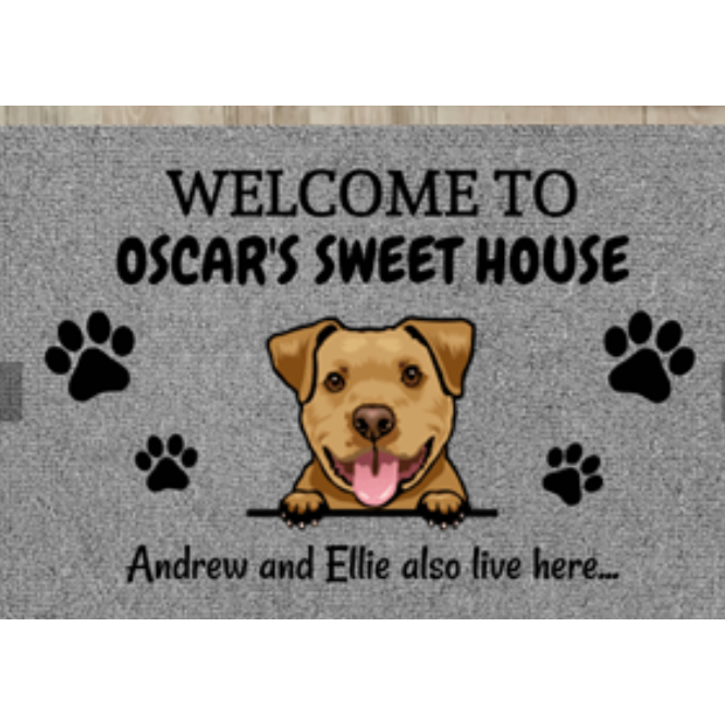 Tapis d'entrée lavable à illustrations d'animaux