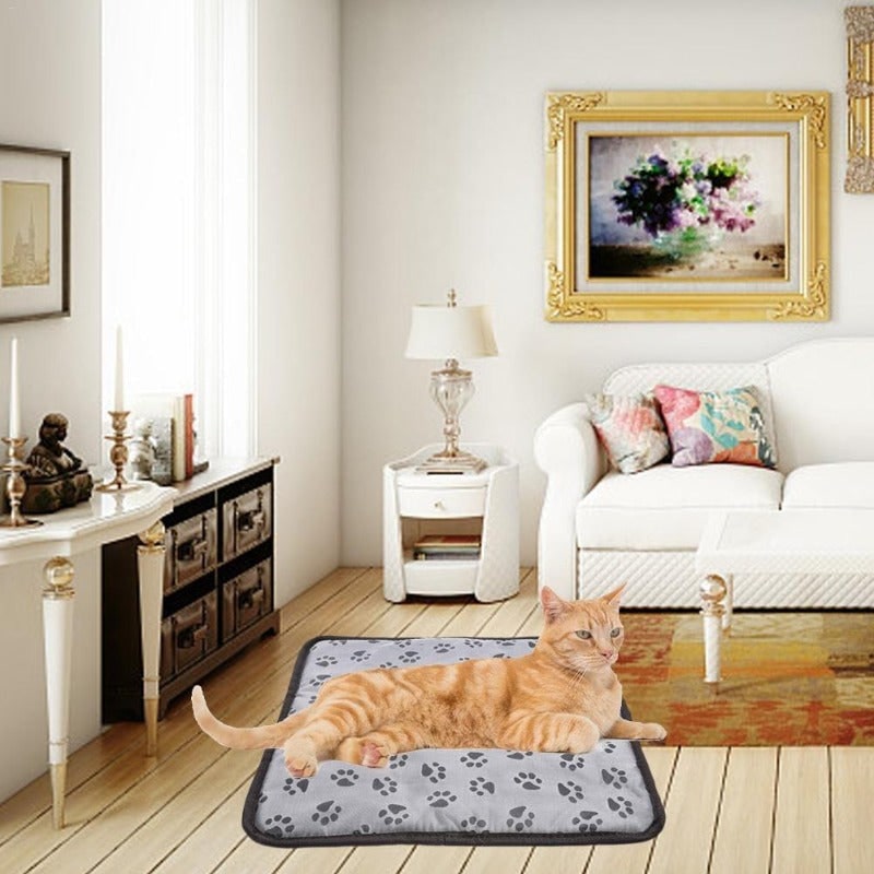 Tapis chauffant électrique pour chien et chat avec commande