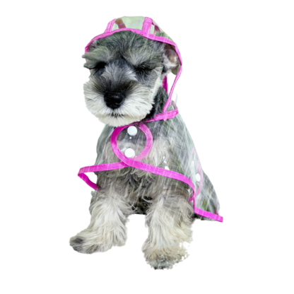 Felineau Imperméable Transparent Doux pour Petit Chien - Rose ou Bleu