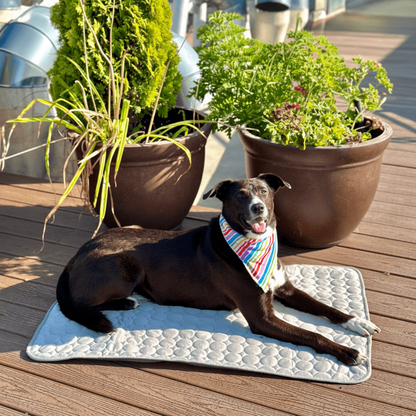 Tapis rafraîchissant pour chien et chat