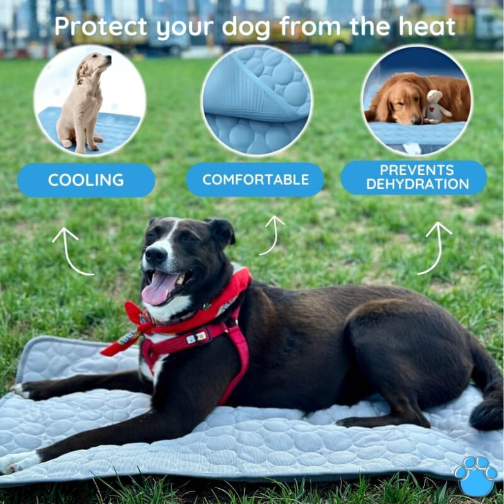 Tapis rafraîchissant pour chien et chat