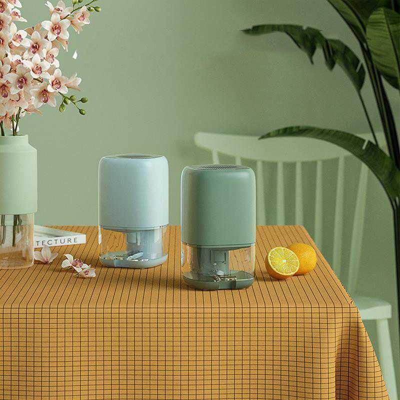 Déshumidificateur portable compact avec bac de 0,7 l