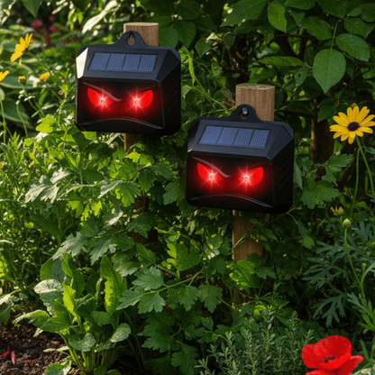 Dispositif solaire de jardin à voyants rouges dissuasifs