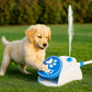 Felineau Fontaine à Eau Activée par la Patte pour Chien - Jeu d'Été