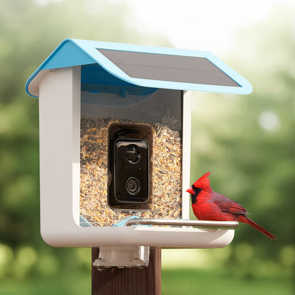 Mangeoire à oiseaux avec caméra Wi-Fi et panneau solaire