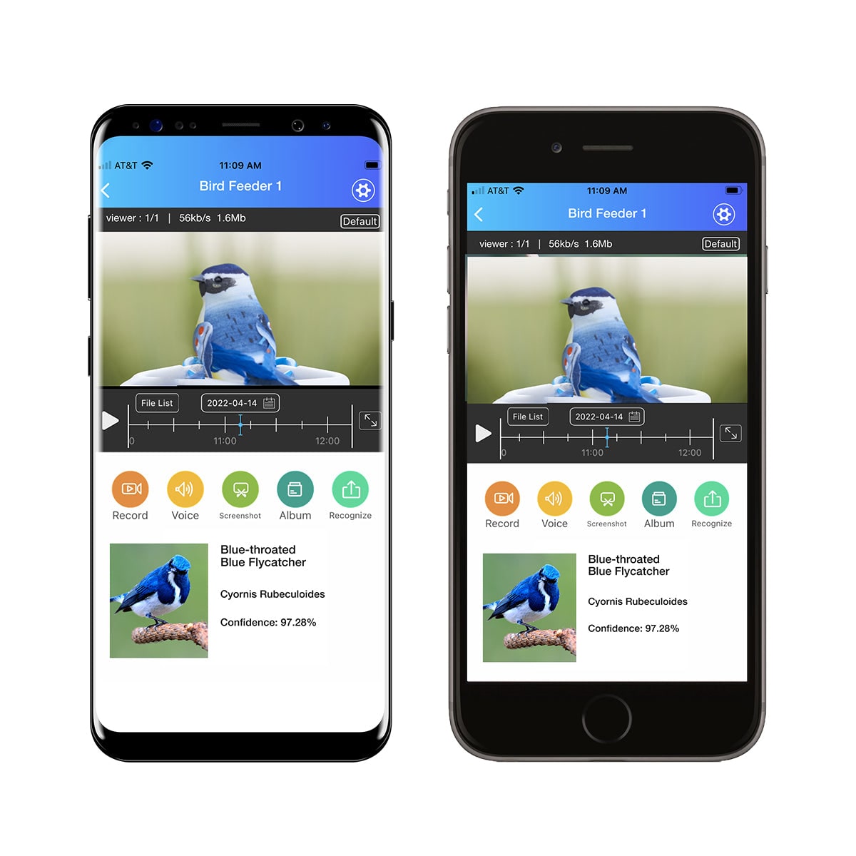 Mangeoire à oiseaux avec caméra Wi-Fi et panneau solaire