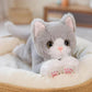 Peluche chat à longue queue, hauteur 53 cm