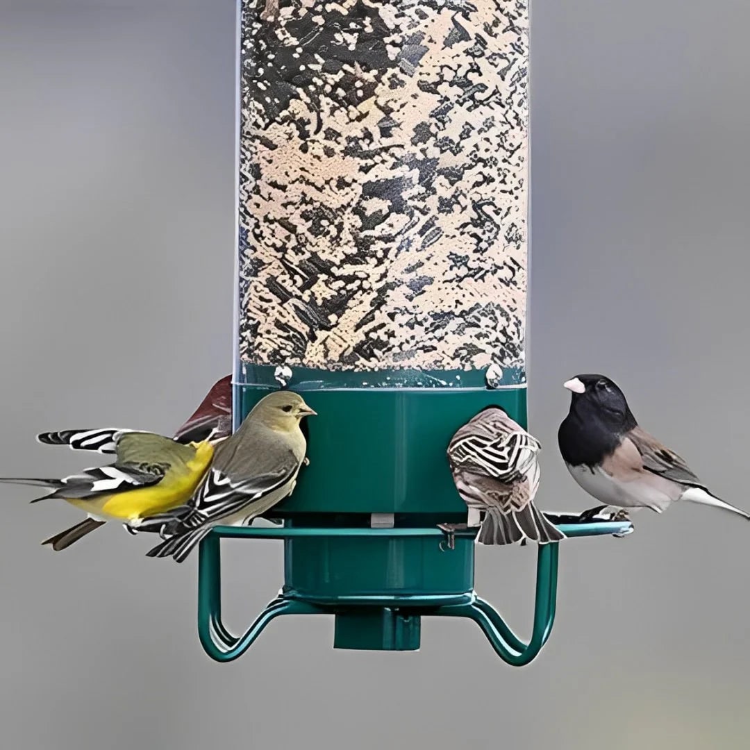 Mangeoire à oiseaux suspendue avec perchoir rotatif