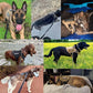 Harnais pour chien en nylon avec poignée et attache avant