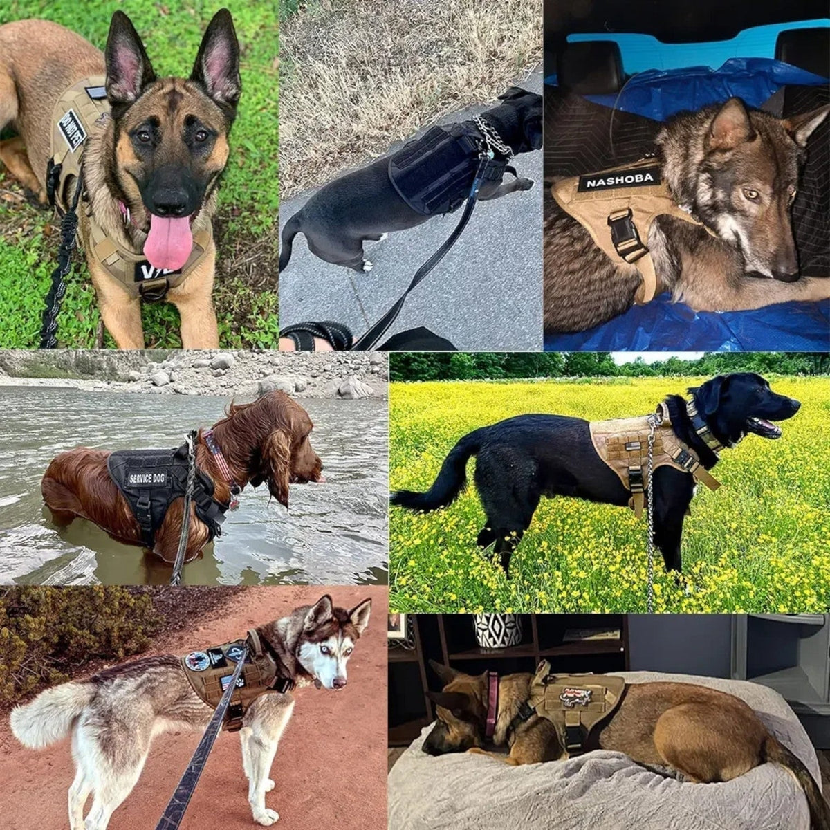 Harnais pour chien en nylon avec poignée et attache avant