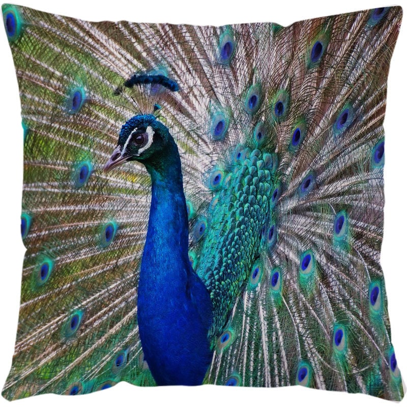 Housses de coussin carrées à décor marin, lot de 4