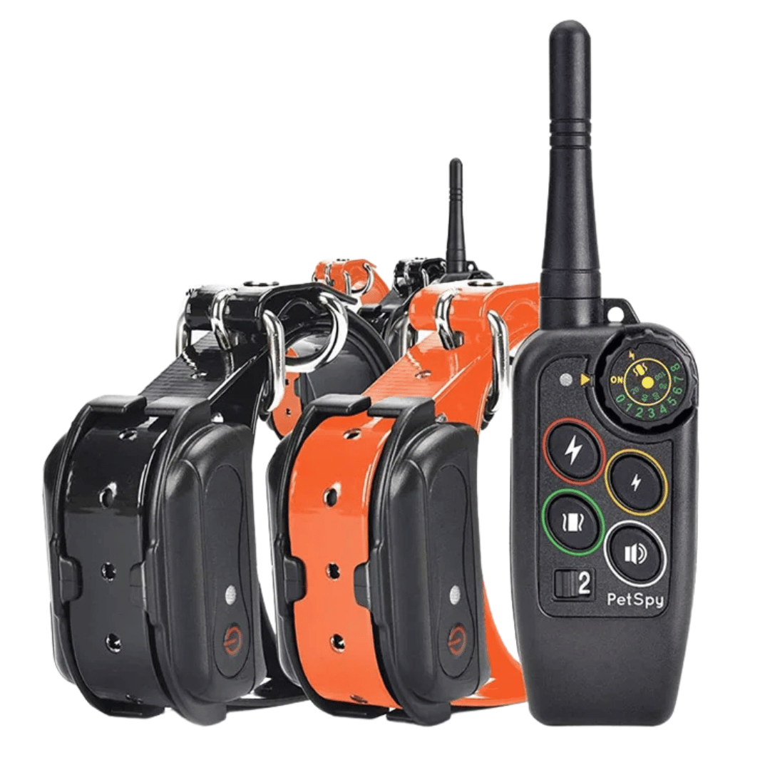 Collier de dressage électronique pour chien avec télécommande
