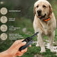 Collier de dressage électronique pour chien avec télécommande