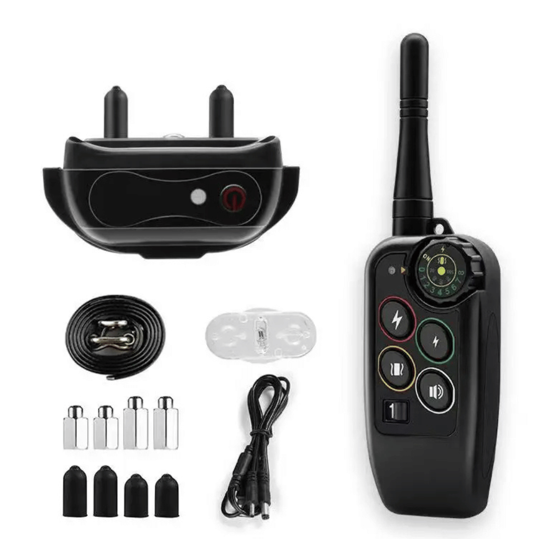 Collier de dressage électronique pour chien avec télécommande
