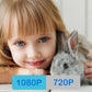 Mini caméra intérieure 1080p avec vision nocturne et détection de mouvement